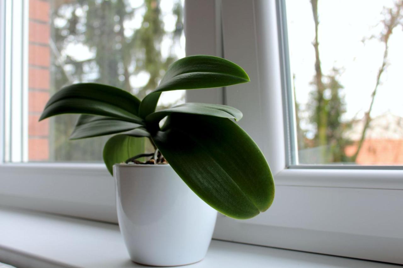Studioapartman M Valpó Kültér fotó